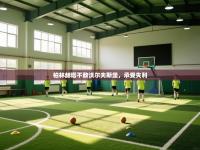 柏林赫塔不敌沃尔夫斯堡，承受失利