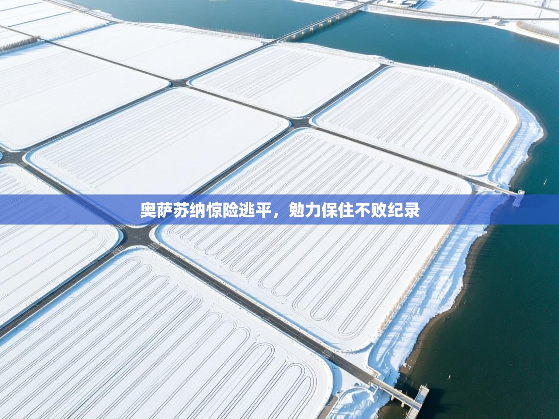 奥萨苏纳惊险逃平，勉力保住不败纪录  第2张