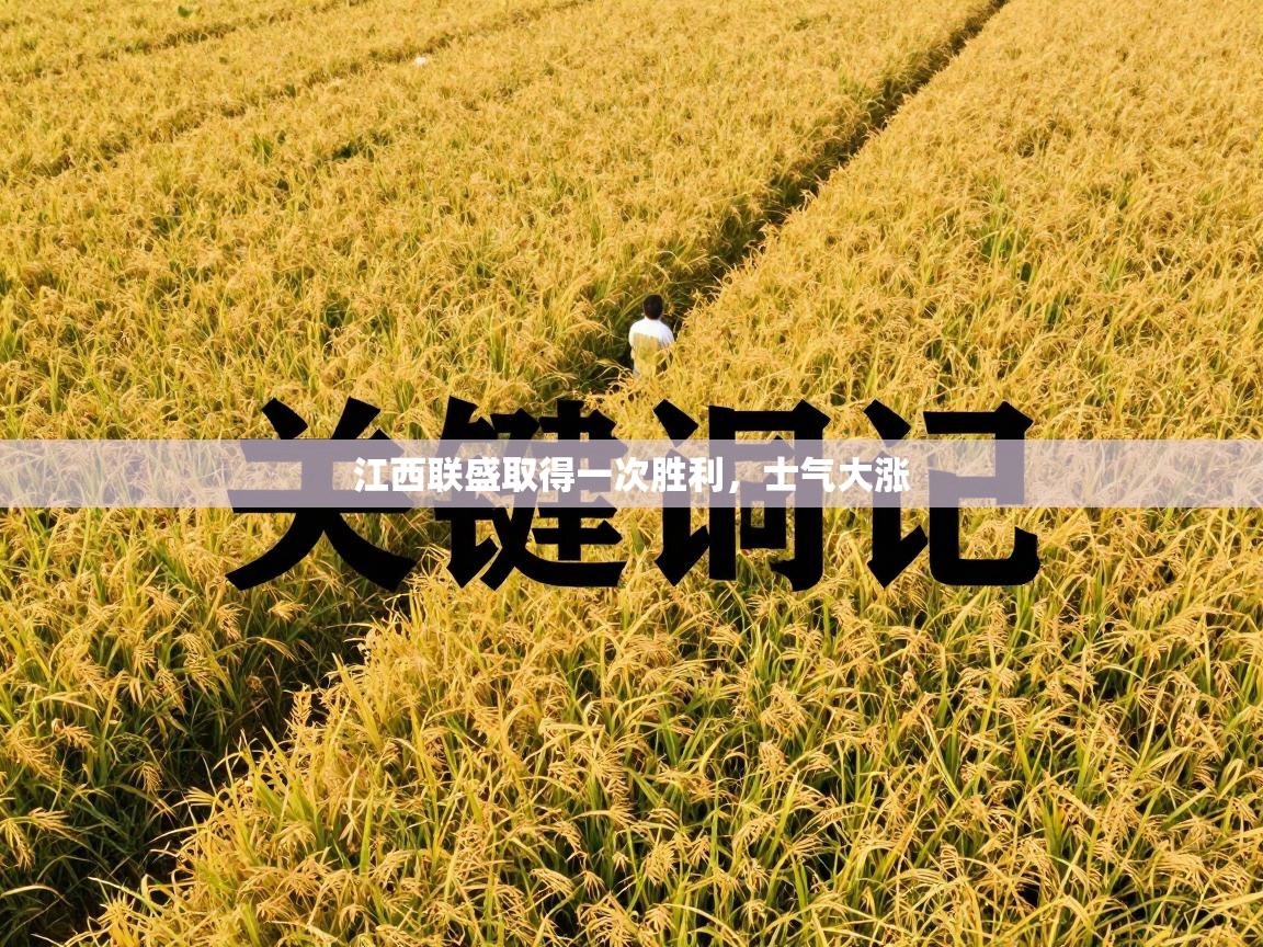 江西联盛取得一次胜利，士气大涨  第1张