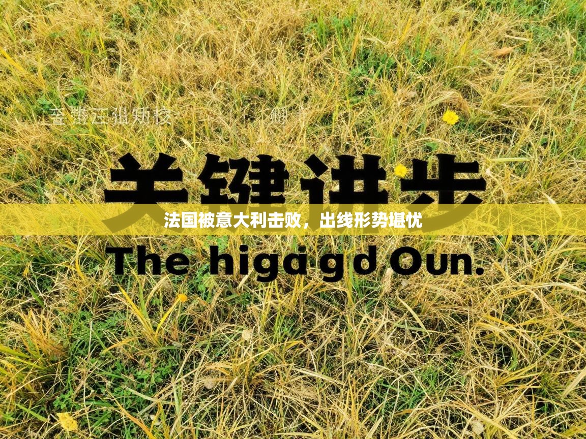 法国被意大利击败,出线形势堪忧 第2张